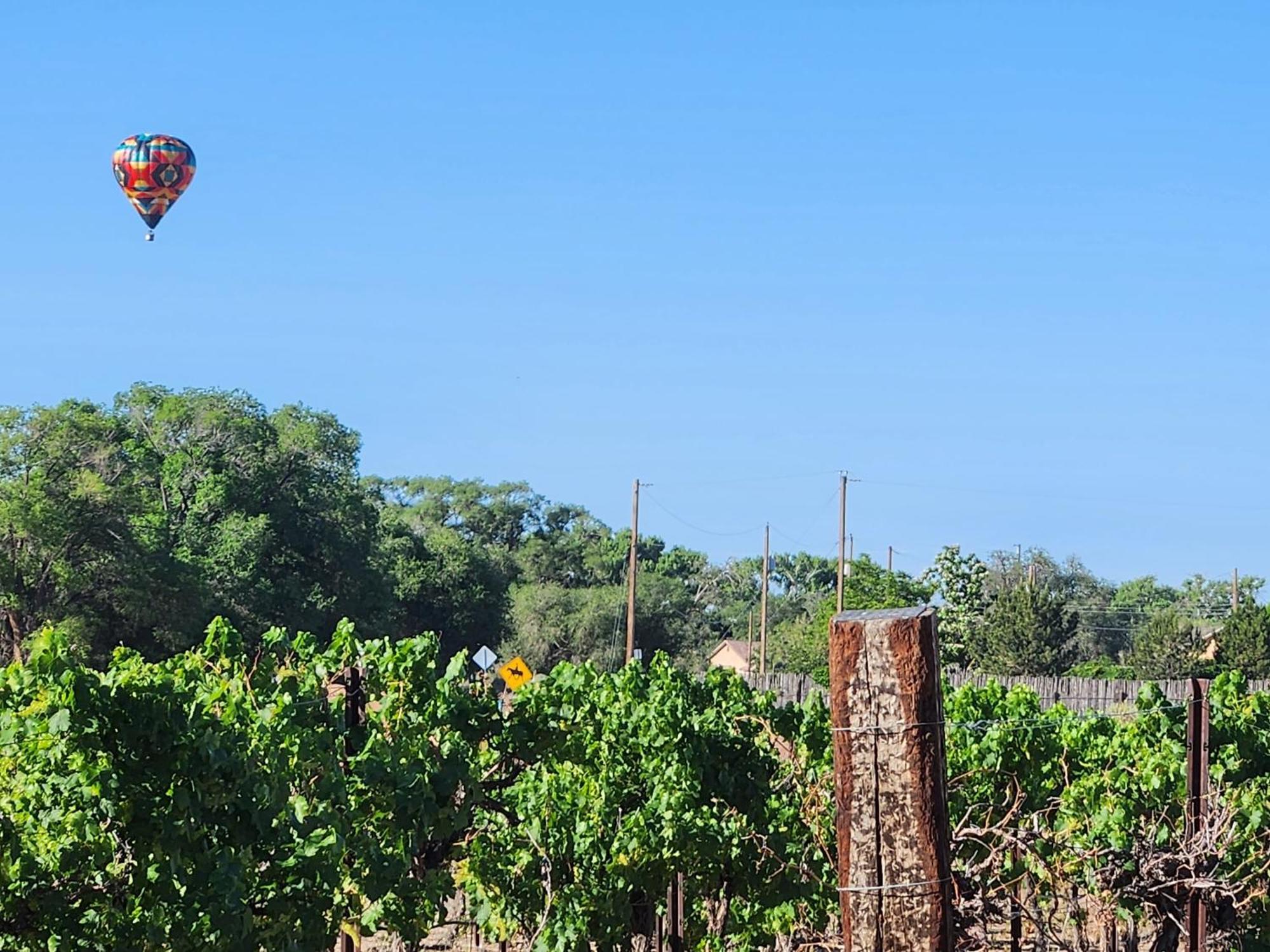 ريو رانتشو Red Mountain Manor Vineyard And Guesthouse المظهر الخارجي الصورة